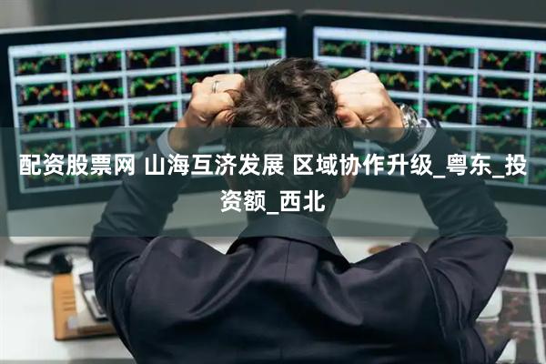 配资股票网 山海互济发展 区域协作升级_粤东_投资额_西北